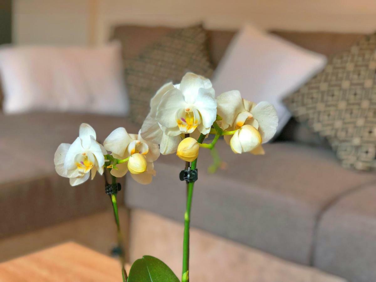 Residence St-Martin Roubaix Dış mekan fotoğraf